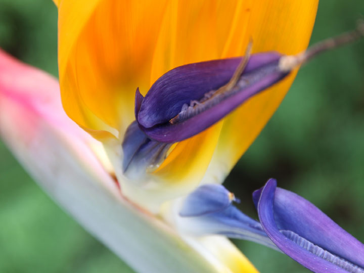 Depth of field as a design element